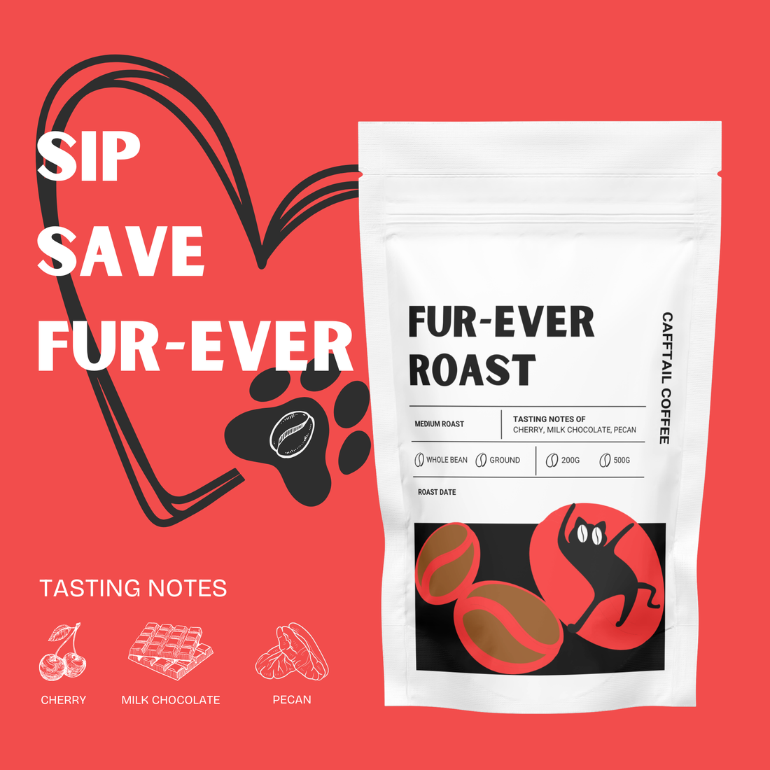 CaffTail Fur-ever Roast coffee for New Zealand offices and workplace kitchens
