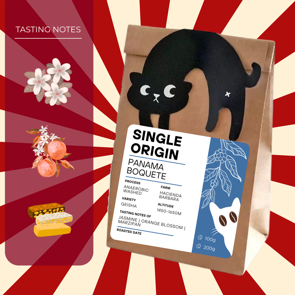 SINGLE ORIGIN PANAMA