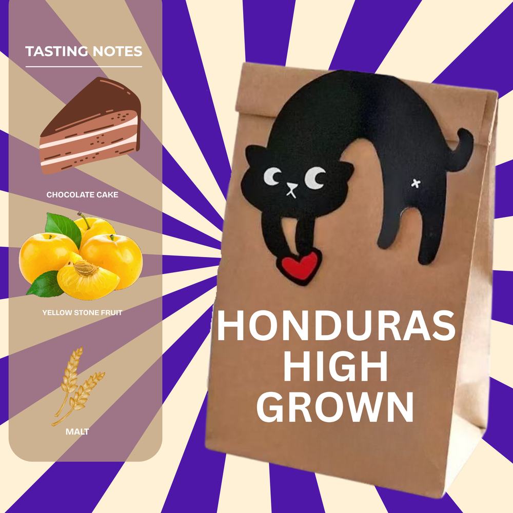 SOE – Honduras High Grown – Chocolate, Caramelised Almonds & Stone Fruit