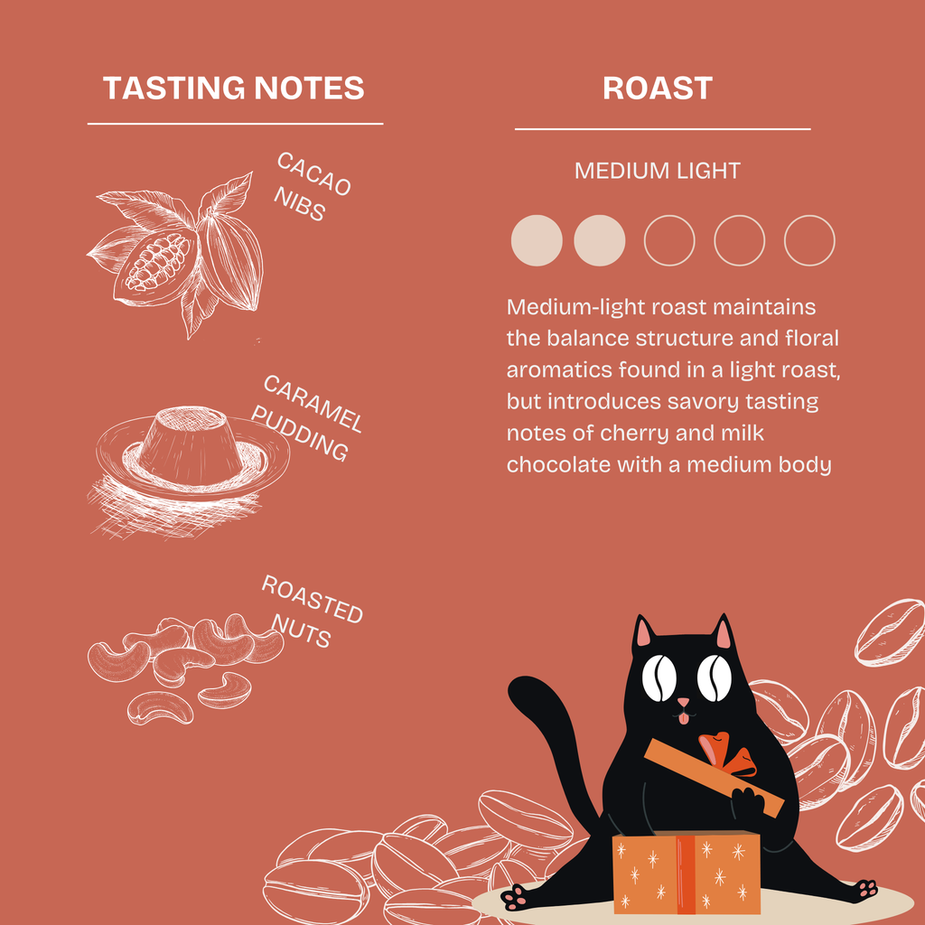 Birthday Roast – Special Edition