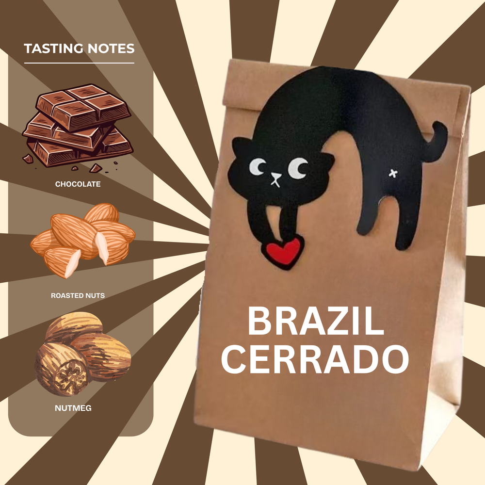 SOE - Brazil Cerrado - smooth body and low acidity.