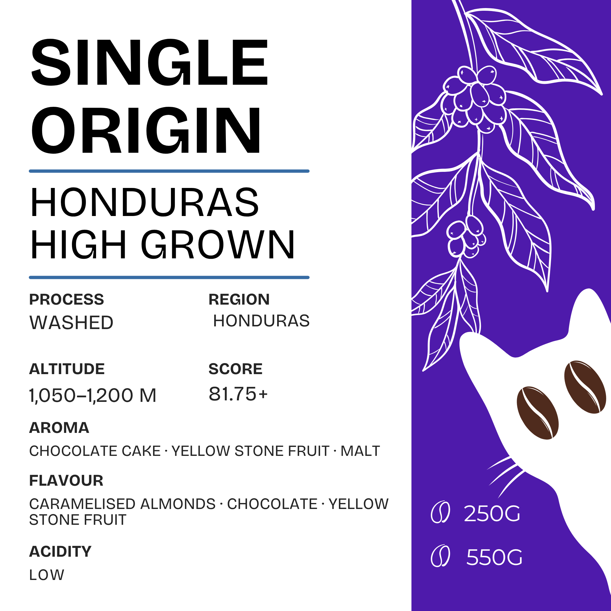SOE – Honduras High Grown – Chocolate, Caramelised Almonds & Stone Fruit